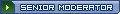 Senior Moderator